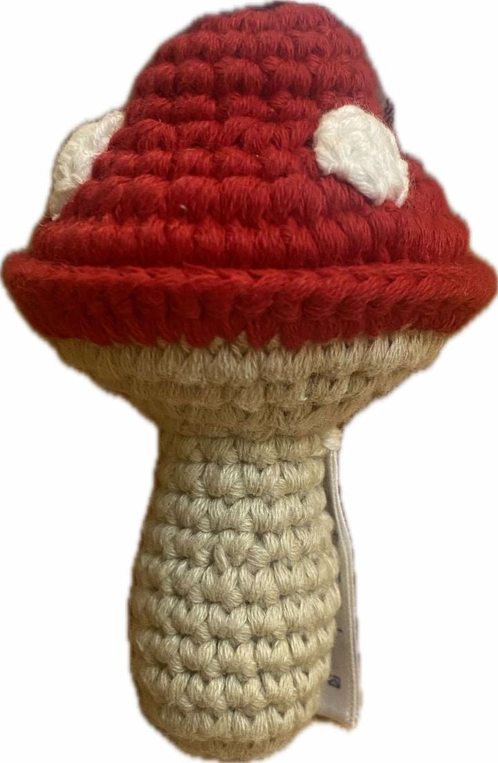 Crochet Mushroom-Wee Kiwi Kidz