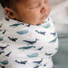 Mod & Tod Stretchy Swaddle-Wee Kiwi Kidz