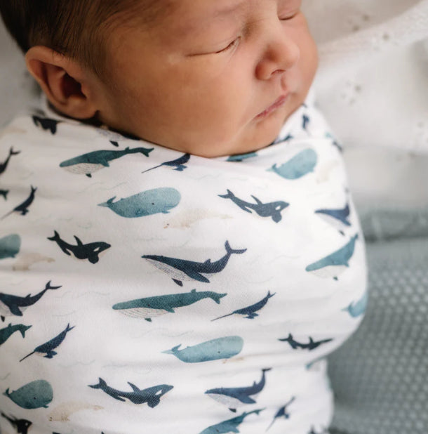 Mod & Tod Stretchy Swaddle-Wee Kiwi Kidz