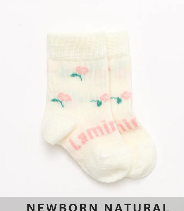 Lamington Crew Socks _ Rosa